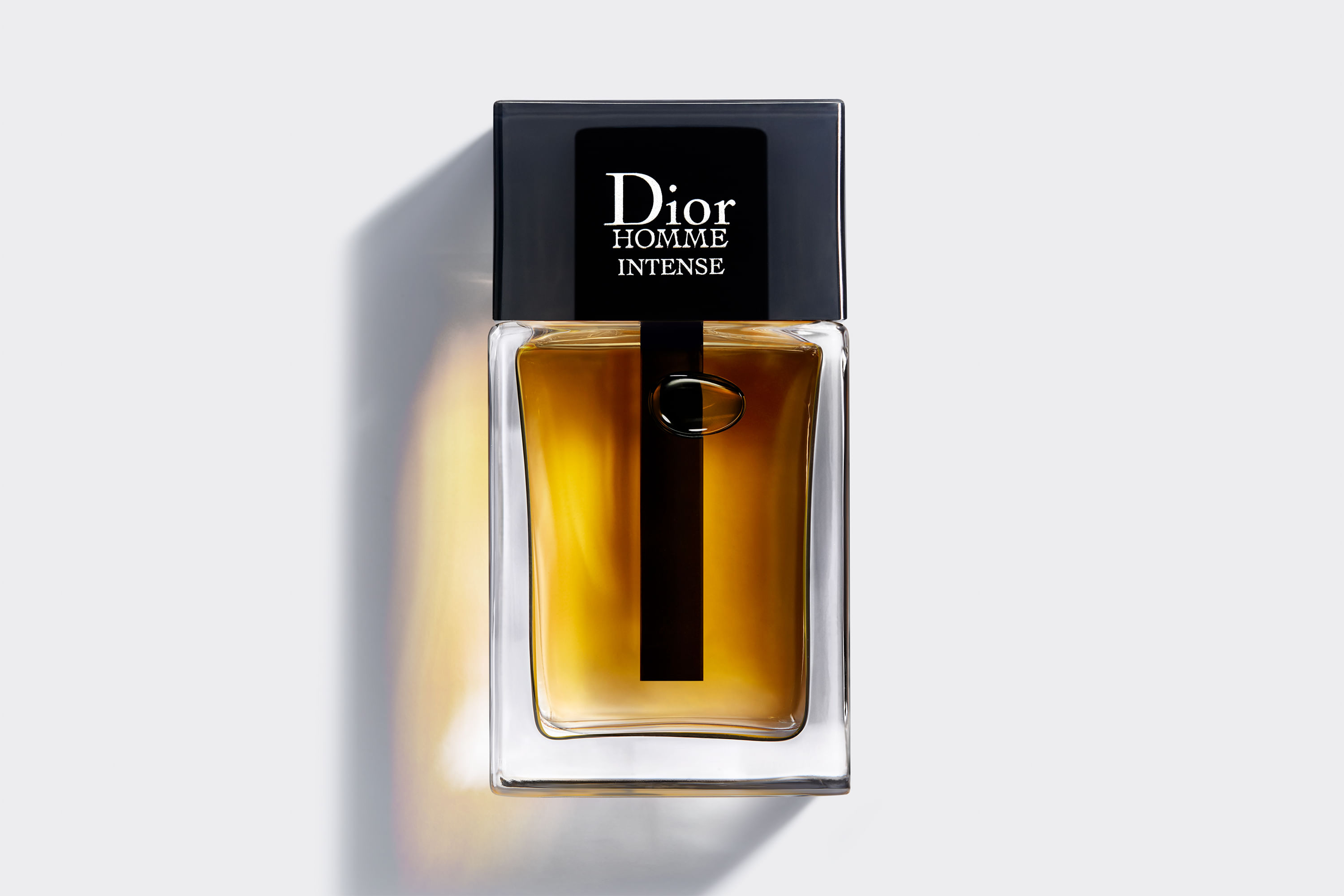 Perfume Dior Homme Intense 100ml Eau De Parfum - DIOR