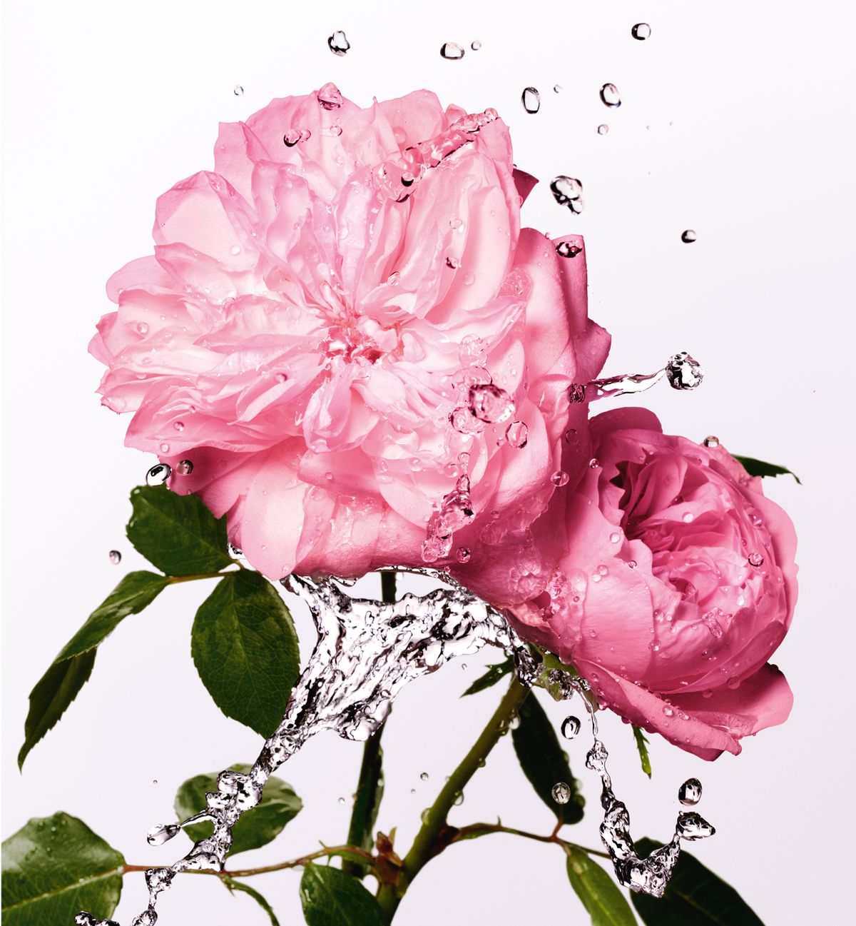 Miss-Dior-Rose-Essence-100ml-05.jpg