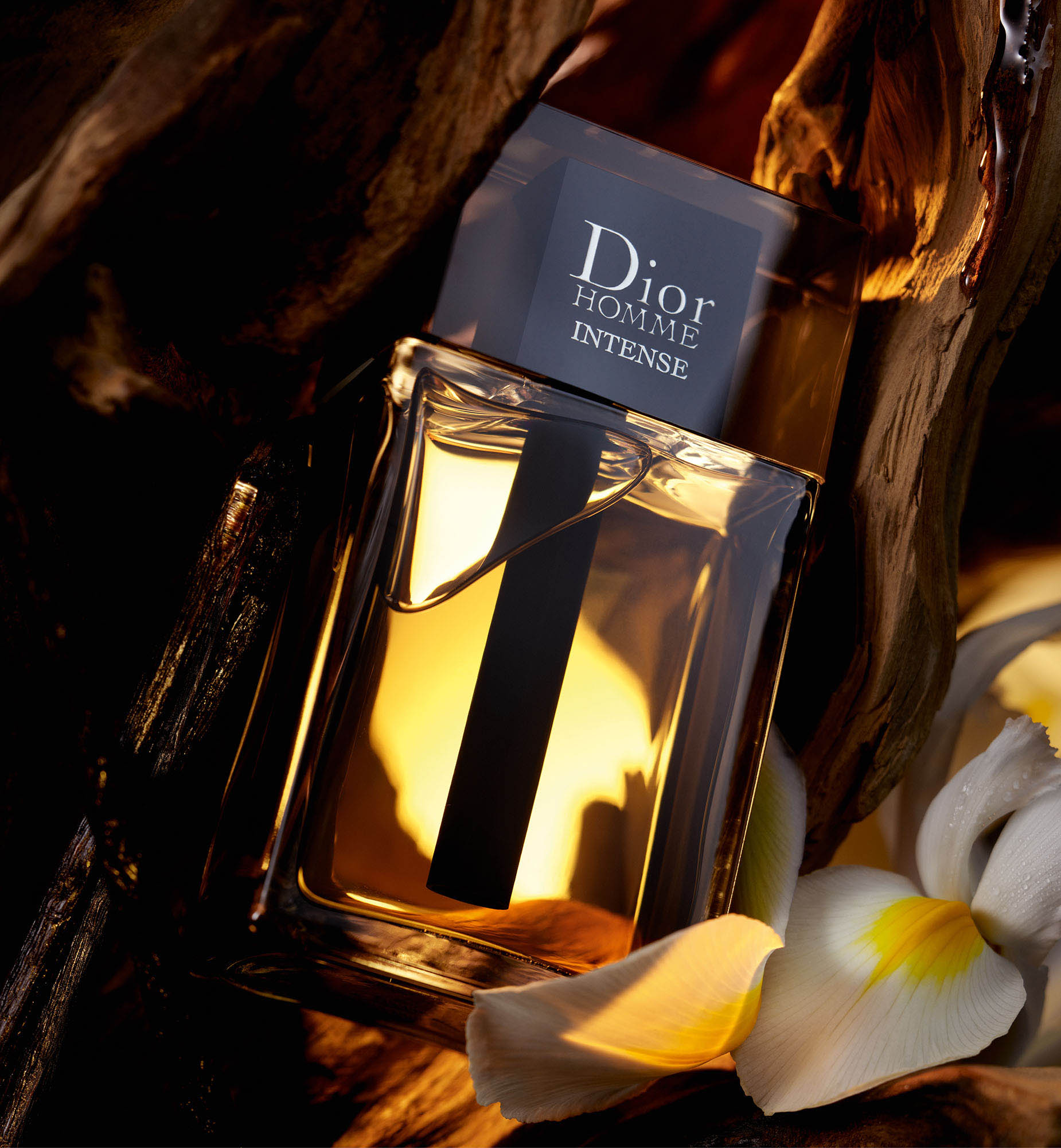 Dior Homme Fragancias Masculinas DIOR